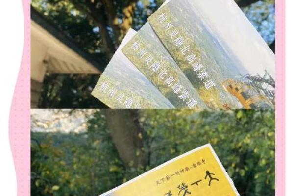 灵顺寺41签解签详细解