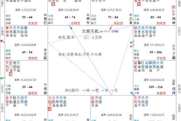 紫微斗数诸星落诸宫之:紫微星官禄宫详解 紫微斗数诸星落诸宫之:紫微星官禄宫详解