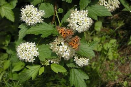 梦见好多尸骨佛滔算命