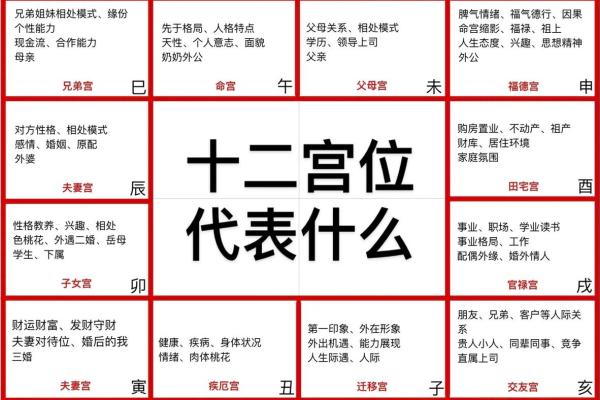 紫薇斗数看子女长相