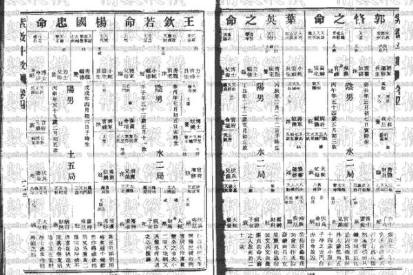 紫薇斗数进阶书