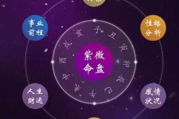 明极紫薇斗数 明极紫薇斗数