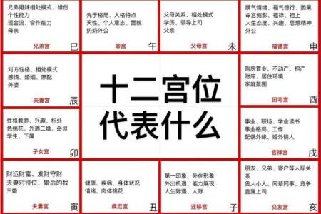 紫薇斗数看子女长相