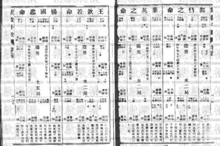 紫薇斗数进阶书