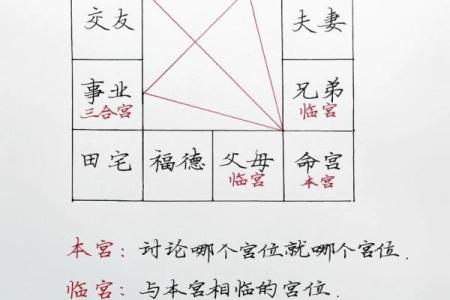 紫薇斗数48