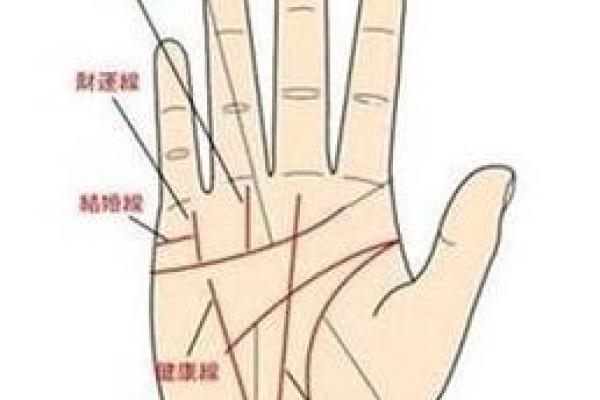 看相算命大全图解婚姻