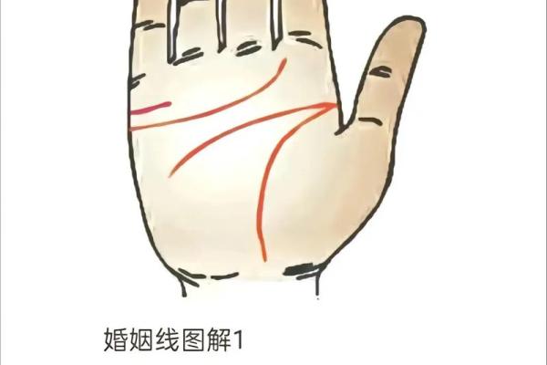 男人左手手相算命图解 婚姻线清晰无曲折象征幸福