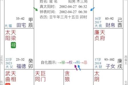 飞星紫微斗数用太岁入卦 紫微斗数太岁指什么？