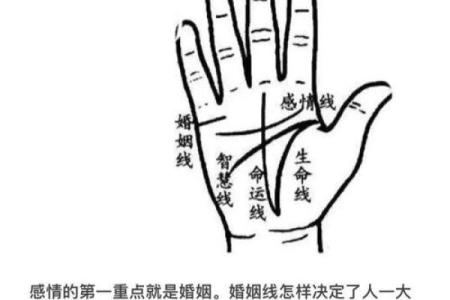 男人左手手相算命图解 婚姻线清晰无曲折象征幸福