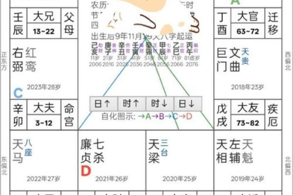 杨杏佛紫薇斗数盘 杨杏佛紫薇斗数盘