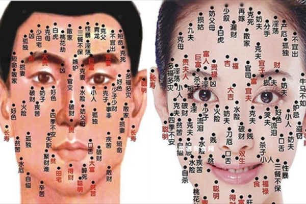 看痣算命