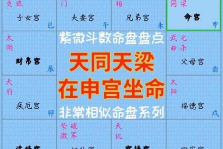 紫微斗数之仆役宫在申宫，是什么意思？