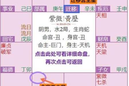 紫微斗数之交友宫与诸星，巨门星在交友宫是什么意思？