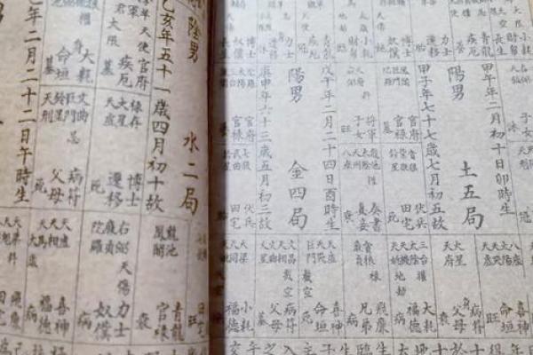 紫薇斗数算命准不准