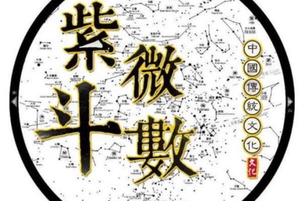 陈彦廷紫薇斗数书 陈彦廷紫薇斗数书