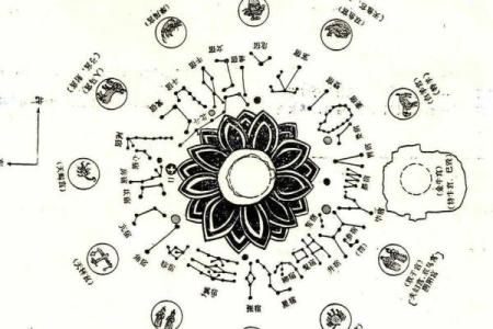 紫薇斗数太阴迁移