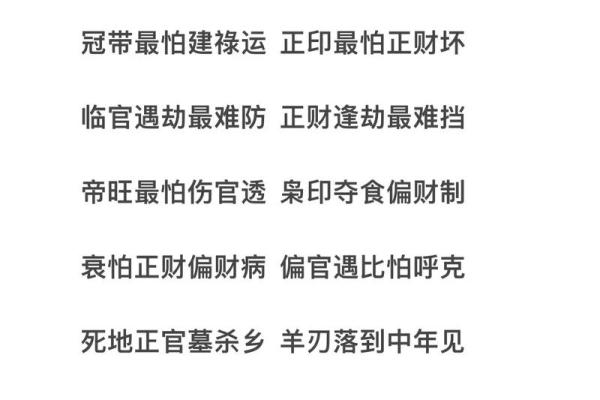 周易算命如何看命运