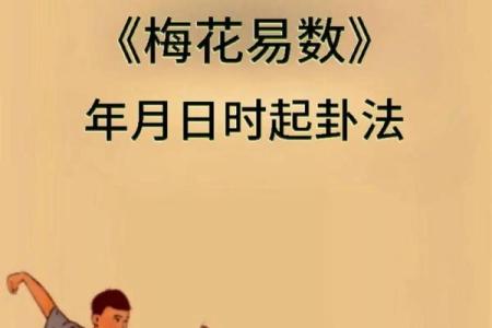 梅花易数算命入门书籍