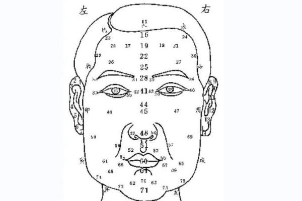 面相算命图解十二宫之:财帛宫 面相算命图解十二宫之:财帛宫