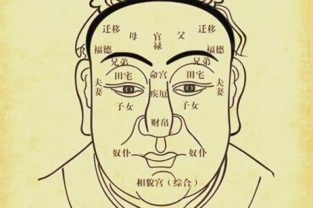 面相算命图解十二宫之：财帛宫
