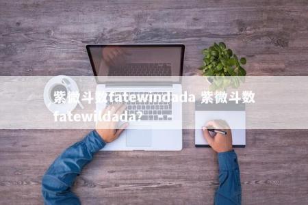 紫微斗数fatewindada 紫微斗数fatewildada？