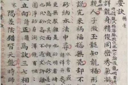 风水先生_摇鞭赶山法