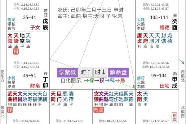 紫薇斗数与八字信息相通