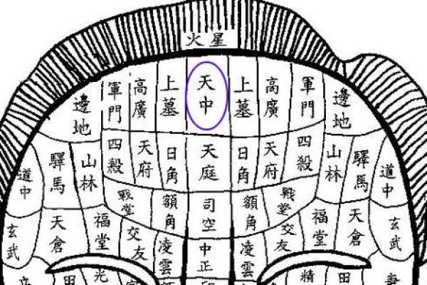 风水上眉毛中间长痣代表什么意思 风水上眉毛中间长痣代表什么意思