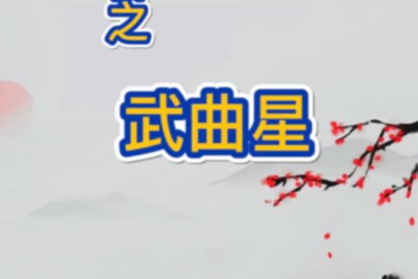 紫微斗数之各星曜所主行业：武曲星