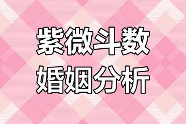 紫薇斗数夫妻际遇