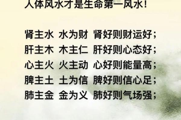 哪种风水会使我们漏财