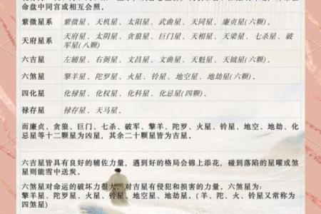 紫薇斗数桃花星6