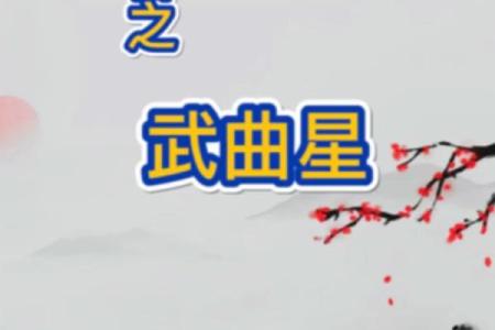 紫微斗数之各星曜所主行业：武曲星