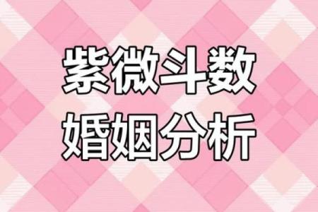 紫薇斗数夫妻际遇