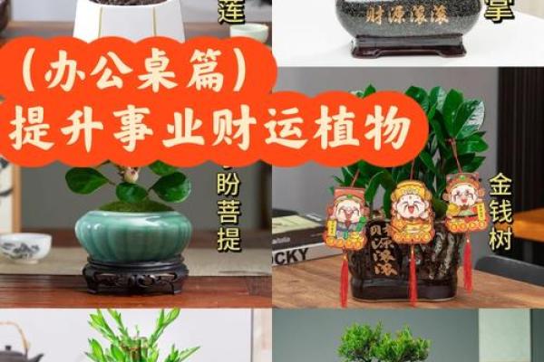 办公室风水摆设与布局提升财运小知识
