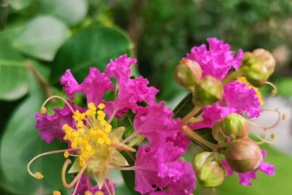 人人都适合有新年目标吗?那些紫薇主星设立目标反而会更糟?唐艺尹老师有趣的紫薇主星分析 人人都适合有新年目标吗?那些紫薇主星设立目标反而会更糟?唐艺尹老师有趣的紫薇主星分析