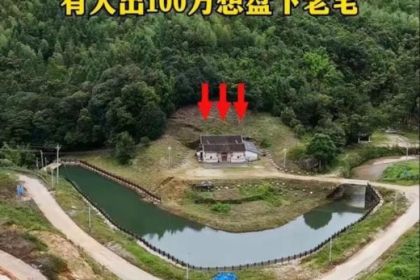 房子周围种菜有风水讲究吗 房子周围种菜有风水讲究吗