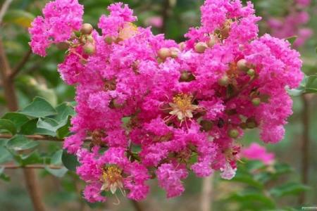 人人都适合有新年目标吗？那些紫薇主星设立目标反而会更糟？唐艺尹老师有趣的紫薇主星分析