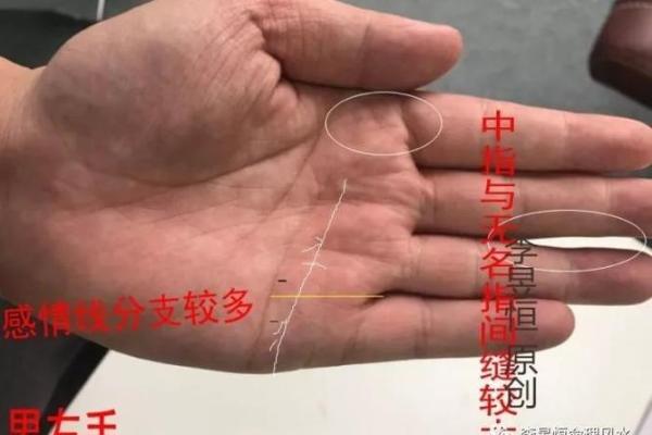 看男人手相算命图解 中指长的会富贵