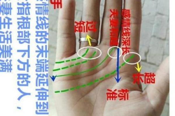 看男人手相算命图解 中指长的会富贵
