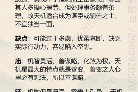 紫微斗数天马星之十二宫释义