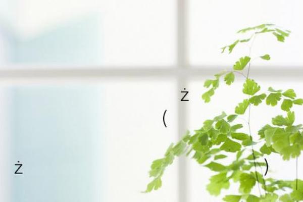 易安居关帝灵签75 易安居关帝灵签75