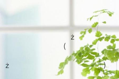 易安居关帝灵签75