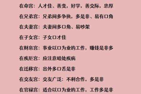 紫薇斗数会变