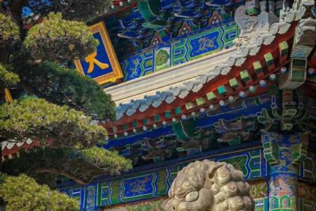 大兴善寺灵签多长时间一次