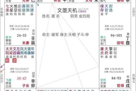 双人紫薇斗数在线合盘