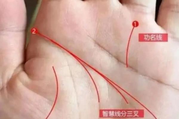 怎样看手纹给自己算命女 手相看你的性格特征 怎样看手纹给自己算命女 手相看你的性格特征