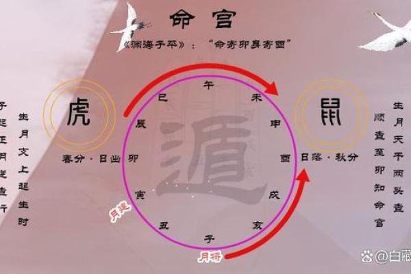 八字怎么排盘 八字怎么排盘