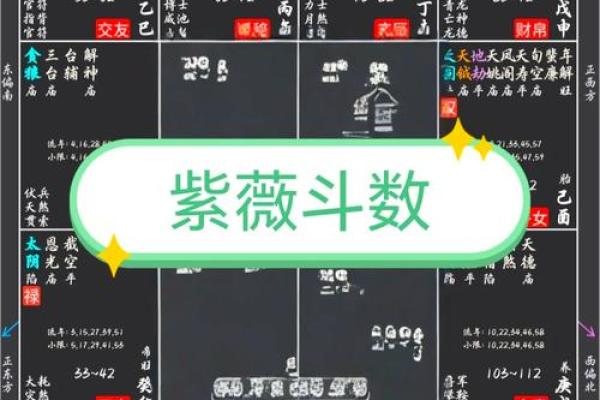 用紫薇斗数怎么判断配偶的个性和身体健康状况? 用紫薇斗数怎么判断配偶的个性和身体健康状况?