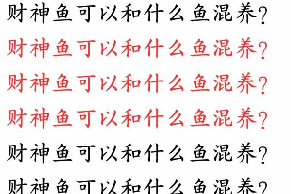 养风水鱼有什么讲究？